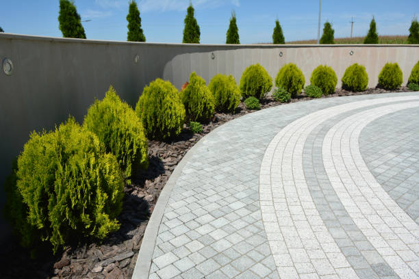 Best Commercial Driveway Pavers  in Lake San Marcos, CA